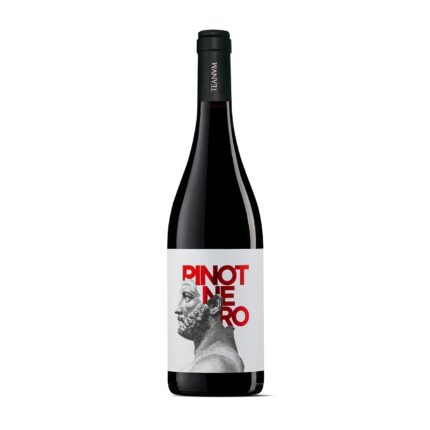Teanum Favùgnë Pinot Nero Puglia IGP 2024 13.5% vol. 0.75l