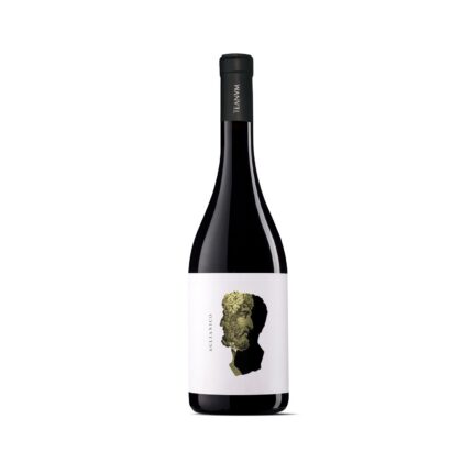 Teanum Òtre Aglianico Puglia IGP 2021 14% vol. 0,75л